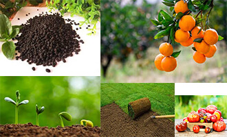 bio organic fertilizer 